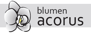 Blumen Acorus Logo